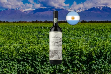 Saint Felicien Malbec 2024 - Thumbnail