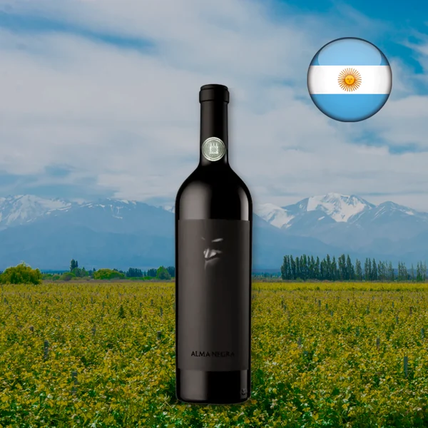 Alma Negra Tinto 2022 - Oferta