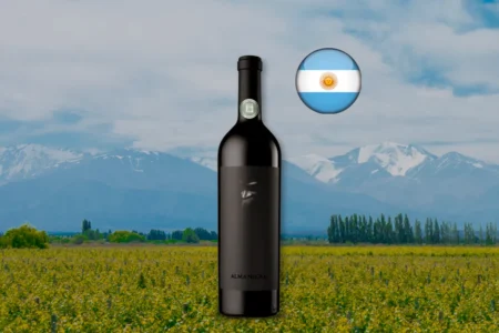 Alma Negra Tinto 2022 - Thumbnail