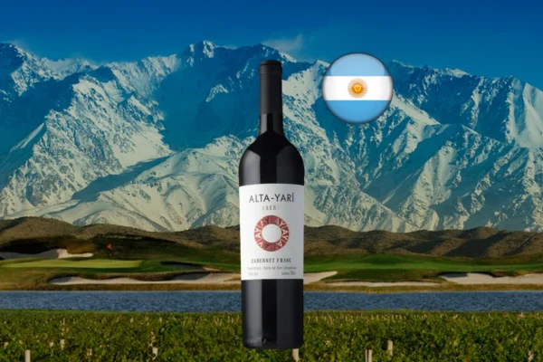 Alta-Yarí Cabernet Franc Reserva 2024 - Thumbnail
