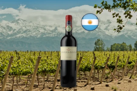 Angelica Zapata Merlot 2021 em composição editorial da Argentina