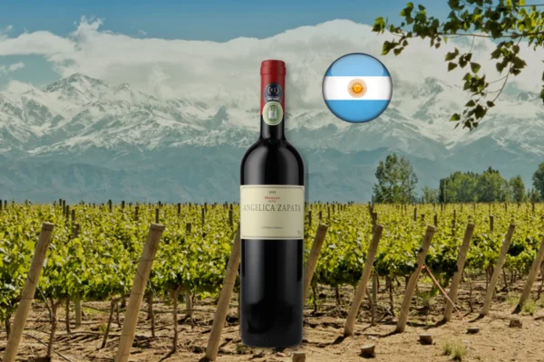 Angelica Zapata Merlot 2021 em composição editorial da Argentina