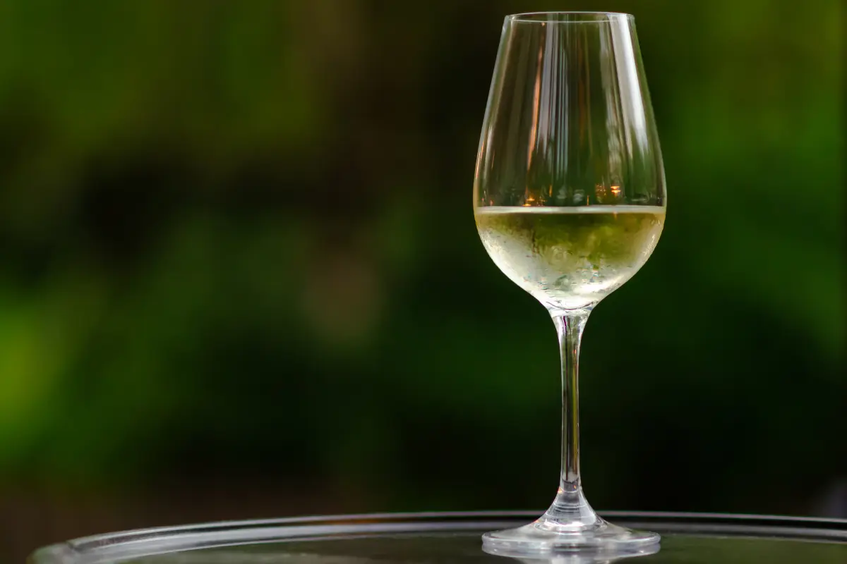 Antoine Janson Chablis AOC 2025 - Degustando