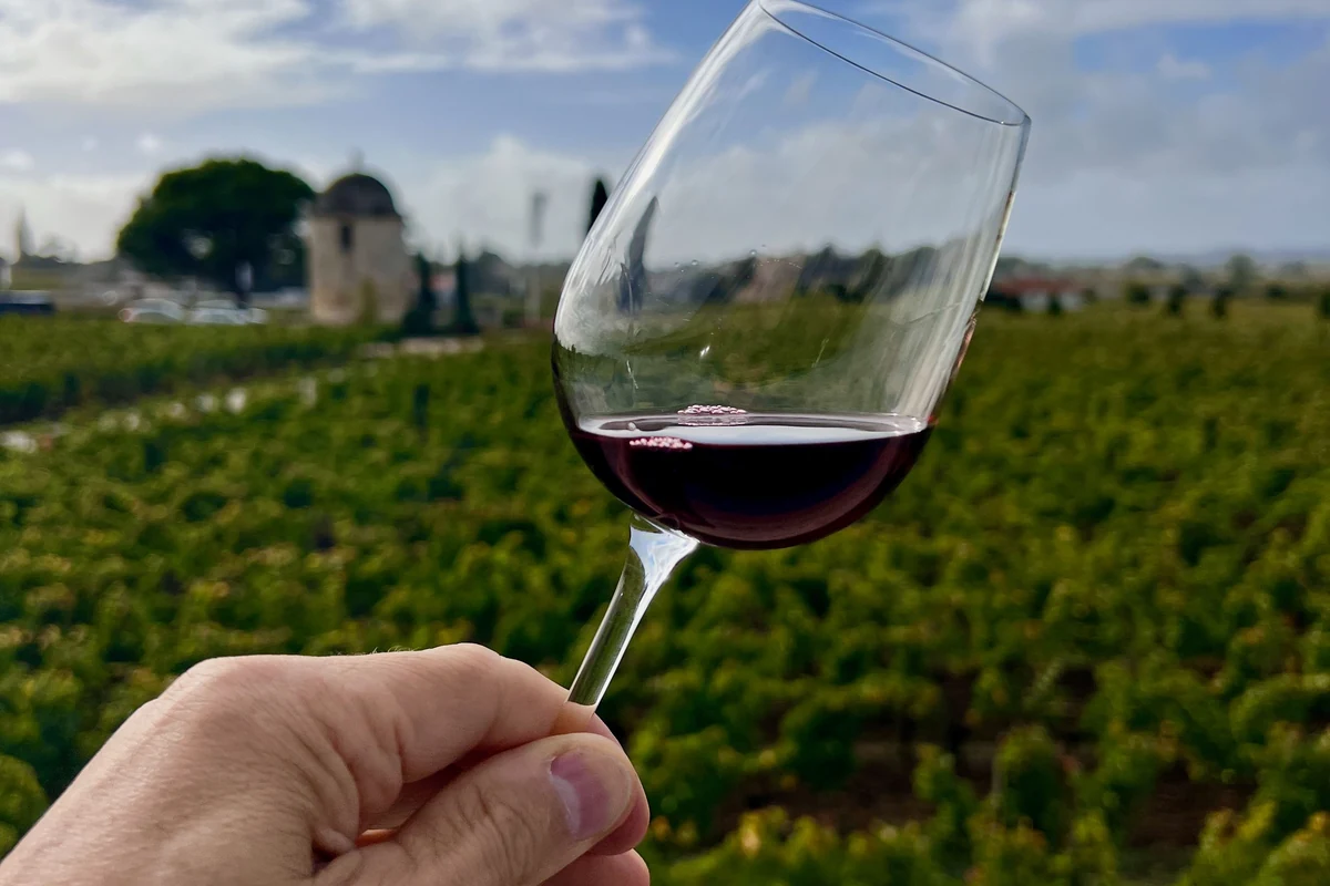 Mão segurando taça de vinho tinto rubi diante de vinhedo para representar Beauvignac Cabernet Sauvignon Côtes de Thau IGP 2024