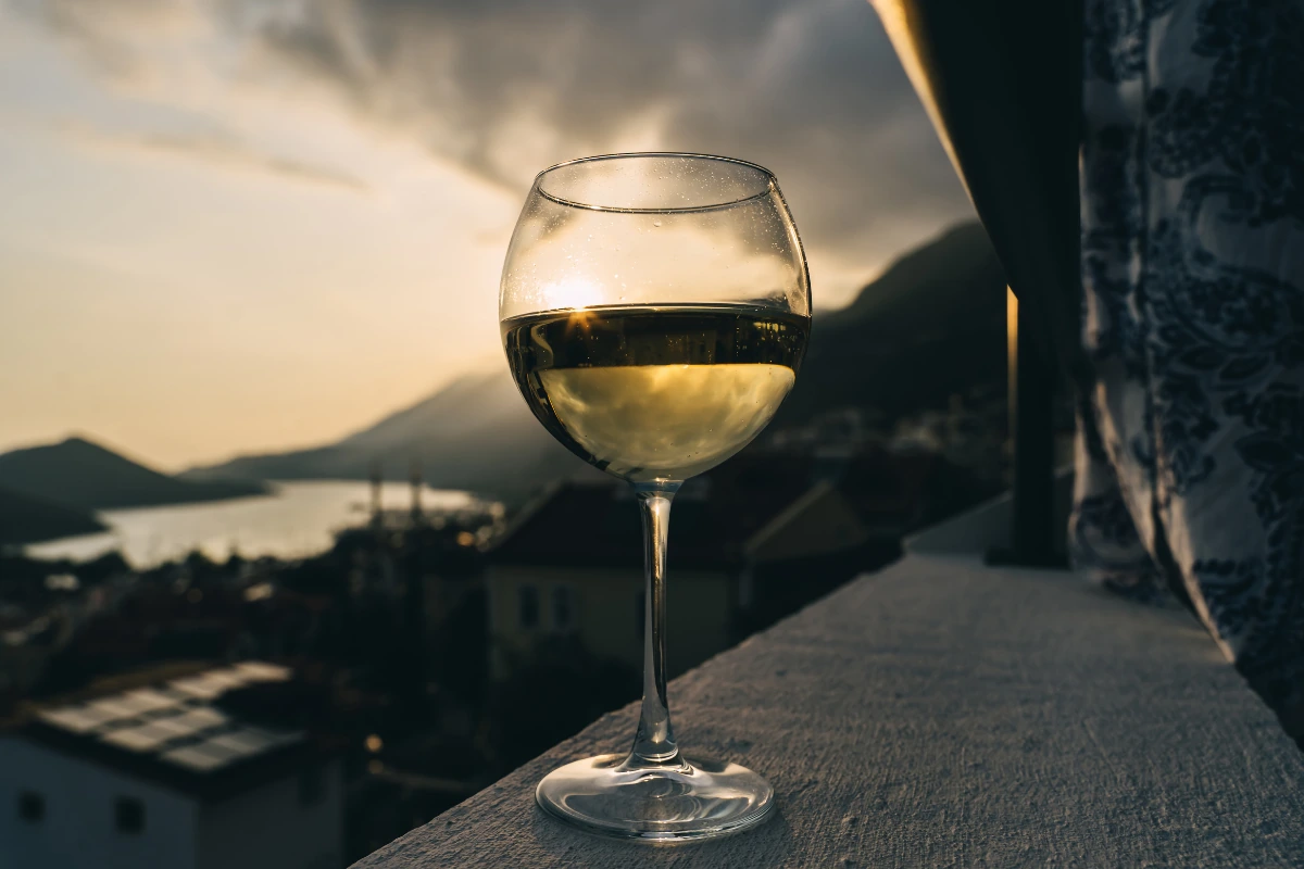 Dönnhoff Riesling Trocken 2024 - Harmonização
