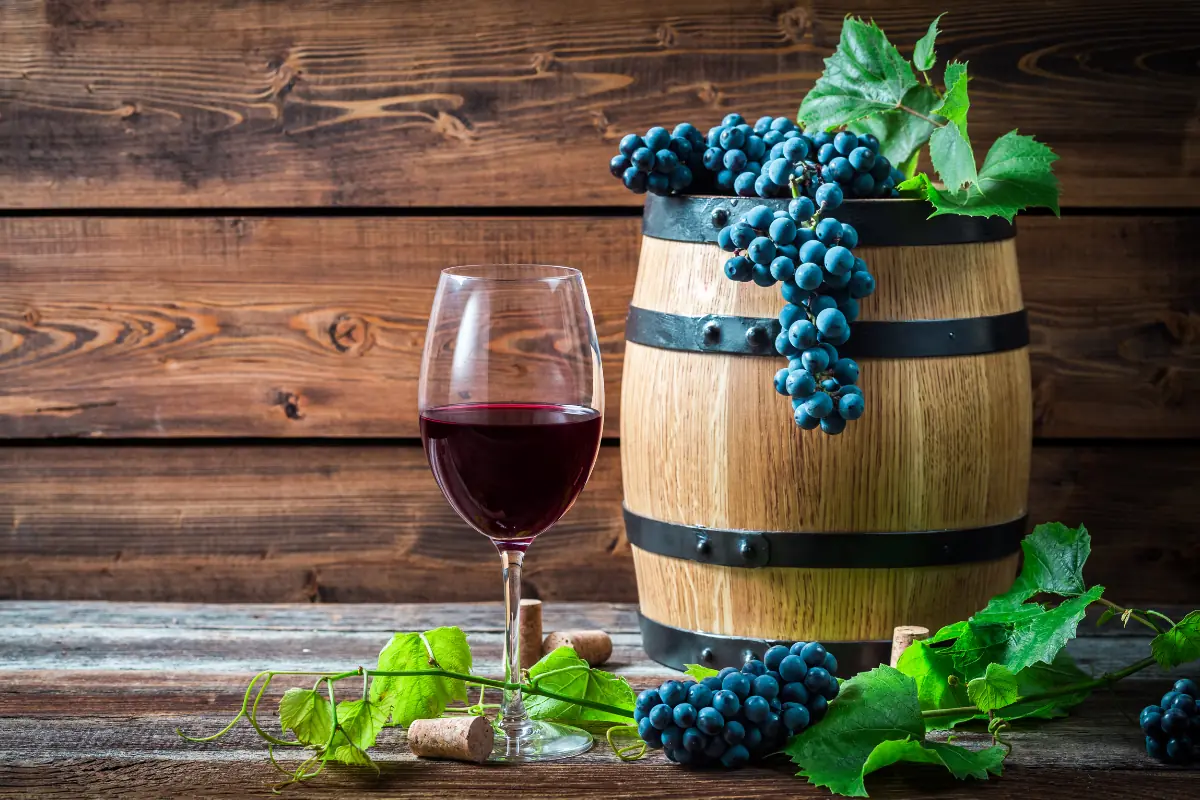 El Enemigo Malbec 2022 - Degustando