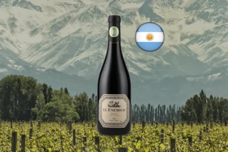 El Enemigo Malbec 2022 - Harmonização