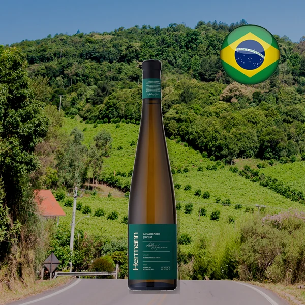 Hermann Alvarinho Jovem 2026 - Oferta Hermann Alvarinho Jovem 2026 - Oferta