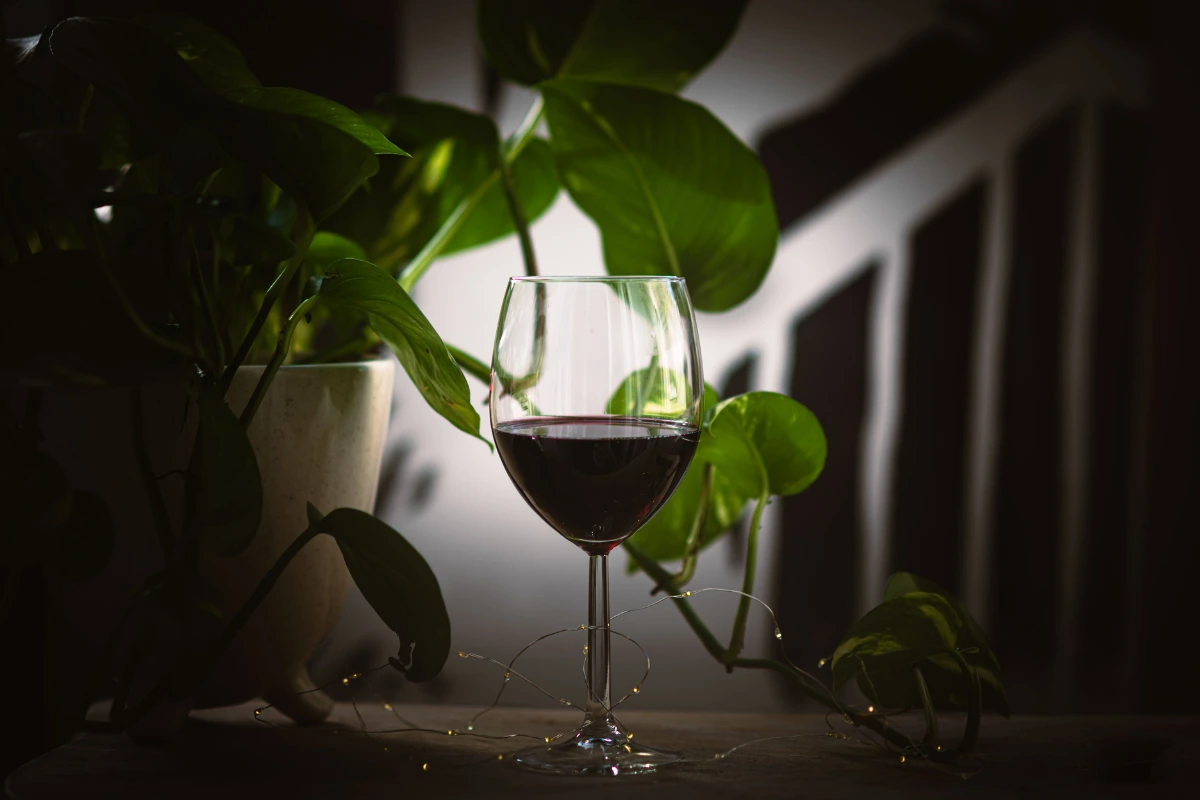 Luis Pato Baga Touriga Nacional 2024 - Degustando