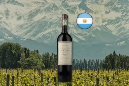 DV Catena Malbec-Malbec 2023, vinho tinto argentino