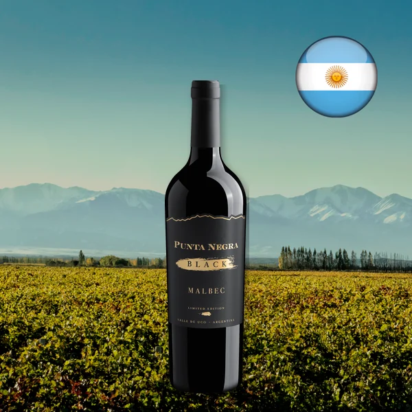 Garrafa do Punta Negra Black Malbec Limited Edition