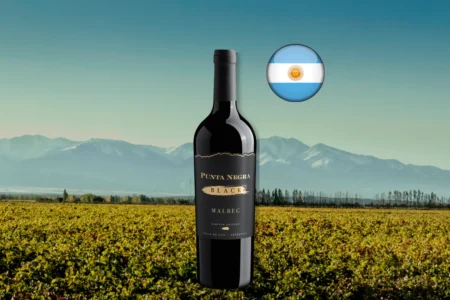 Punta Negra Black Malbec Limited Edition, vinho tinto argentino