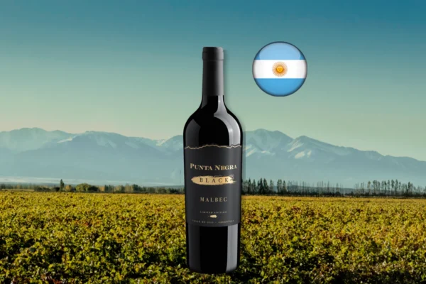 Punta Negra Black Malbec Limited Edition, vinho tinto argentino