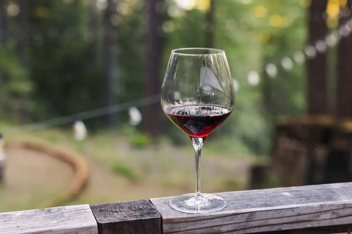 Quinta da Fonte Souto Florão 2017 - Degustando