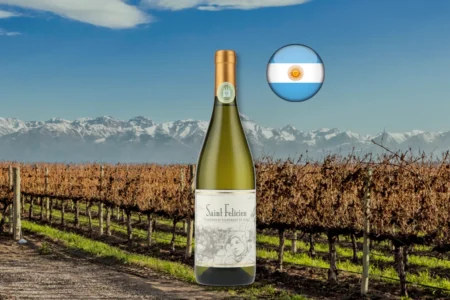 Saint Felicien Chardonnay 2024 em composição editorial da Argentina