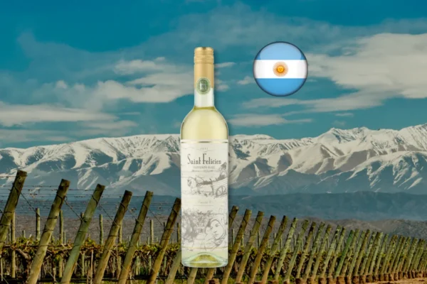 Saint Felicien Sauvignon Blanc 2022 em composição editorial da Argentina