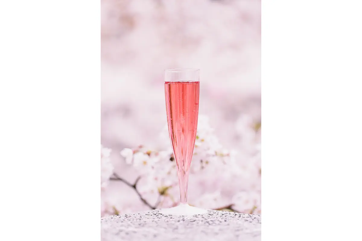 Barnaut Champagne Authentique Rosé Brut Grand Cru - Degustando