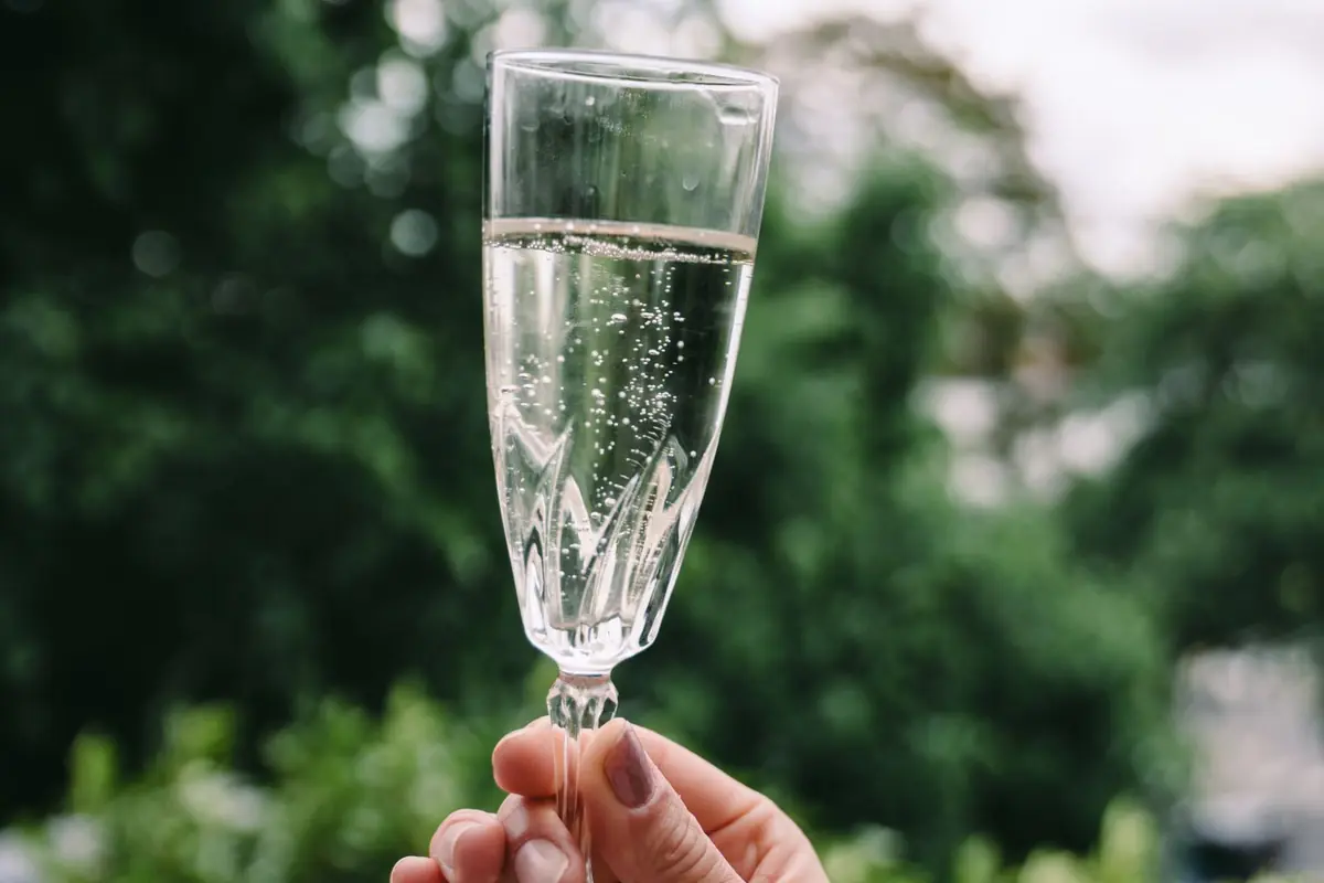 Barnaut Champagne Blanc de Noirs Brut Grand Cru - Degustando