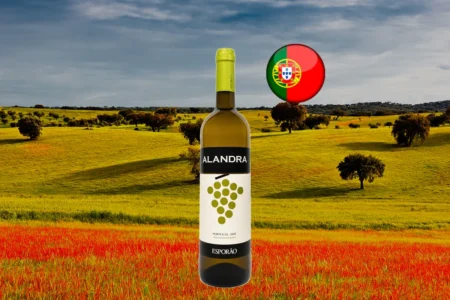 Alandra Branco - Thumbnail