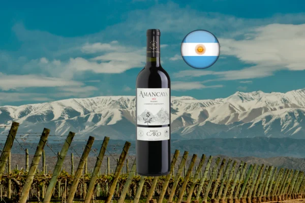 Amancaya 2022 - Thumbnail