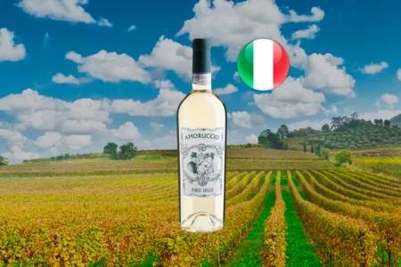 Amoruccio Pinot Grigio delle Venezie DOC 2025 - Thumbnail