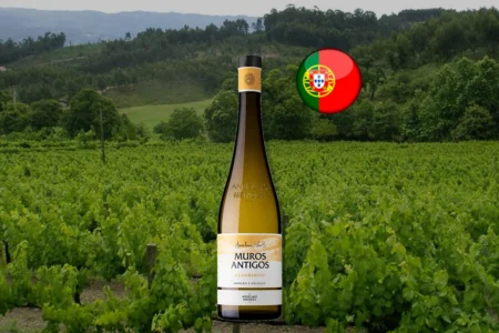 Anselmo Mendes Muros Antigos Alvarinho 2023 - Thumbnail