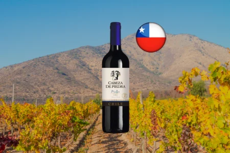 Cabeza de Piedra Reservado Malbec - Thumbnail