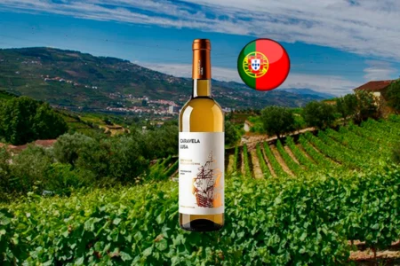 Caravela Lusa Branco Vinho Verde - Harmonização