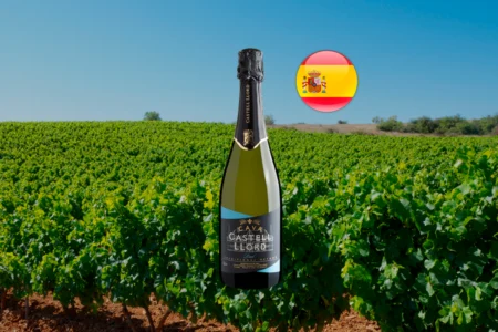 Cava Castell Llord Brut - Thumbnail