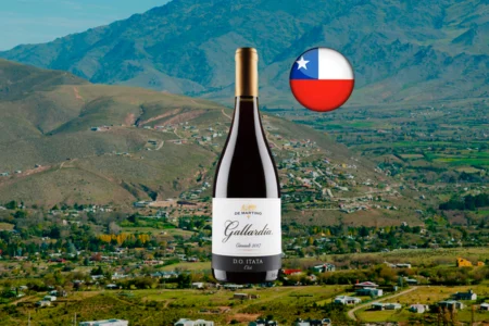 De Martino Gallardía Cinsault - Thumbnail