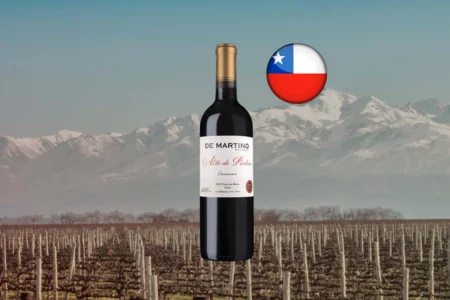 De Martino Alto de Piedras Carménère - Thumbnail
