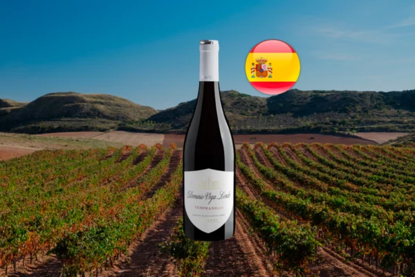 Dominio Vega Linde Tempranillo 2021 - Thumbnail