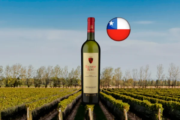 Escudo Rojo Sauvignon Blanc 2024 - Thumbnail