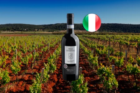Gran Maestro Primitivo di Manduria DOC 2024 - Thumbnail