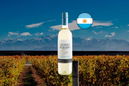 Las Colinas de Los Andes Sauvignon Blanc - Thumbnail