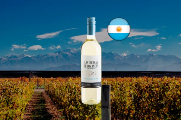 Las Colinas de Los Andes Sauvignon Blanc - Thumbnail