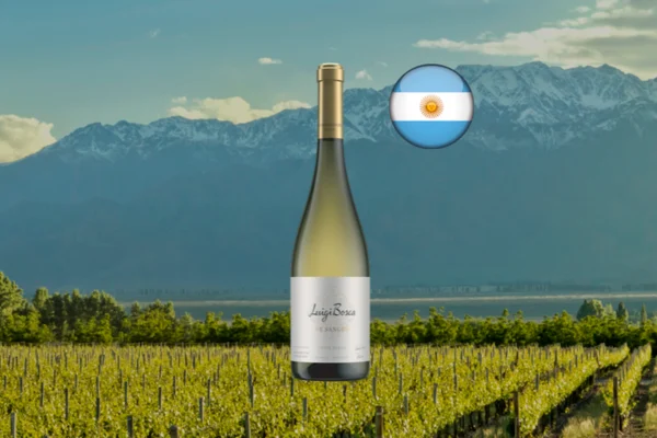 Luigi Bosca De Sangre White Blend 2024 - Thumbnail