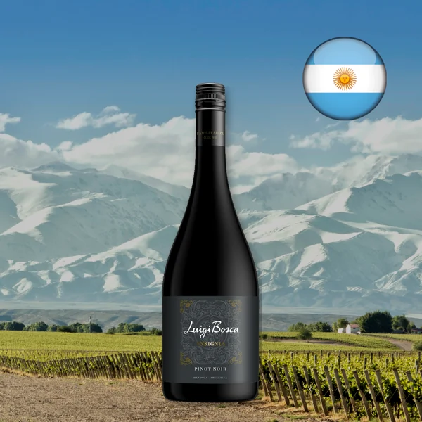 Luigi Bosca Pinot Noir 2025 - Oferta