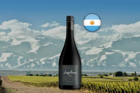Luigi Bosca Pinot Noir 2025 - Thumbnail