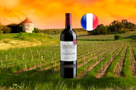 Maison Ginestet Signature Collection Grand Vin de St-Estèphe AOP 2022 - Thumbnail