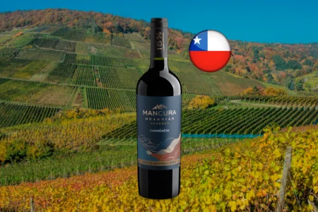 Mancura Guardián Reserva Carménère 2022 - Thumbnail