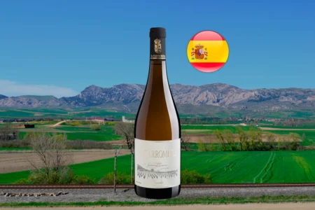 Matarromera Verdejo Fermentado en Barrica - Thumbnail