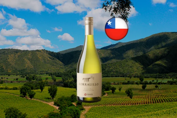 Matetic Corralillo Sauvignon Blanc 2023 - Thumbnail