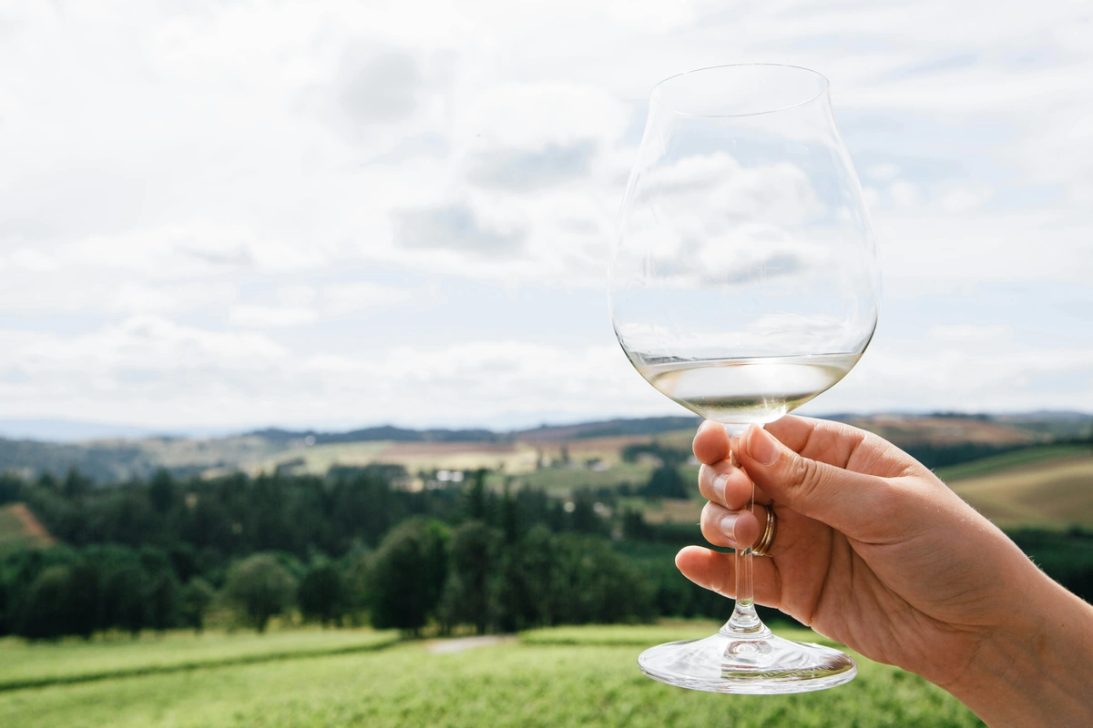 Mão segurando uma taça de vinho branco claro, com campo verde e céu ao fundo.