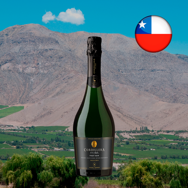 Cordillera Pinot Noir Extra Bru - Oferta