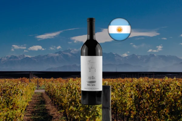 Oveja Black Single Vineyard Cabernet Franc - Thumbnail