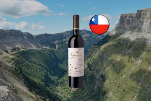 Paya de Millaman Malbec - Thumbnail