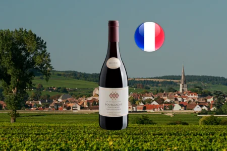 Pierre André Pinot Noir Vieilles Vignes 2022 - Thumbnail