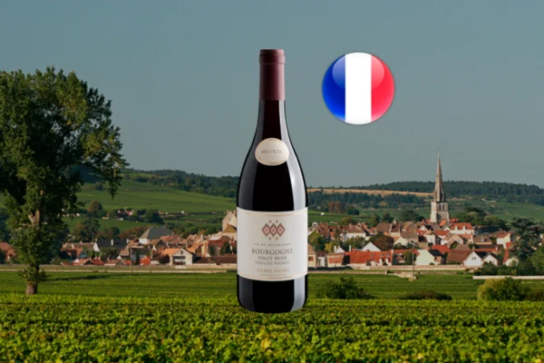 Pierre André Pinot Noir Vieilles Vignes 2022 - Thumbnail