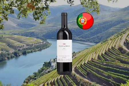 Prazo de Roriz 2022 - Thumbnail